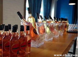 菲尝果味葡萄酒签约川渝总代，全国招商全面启动